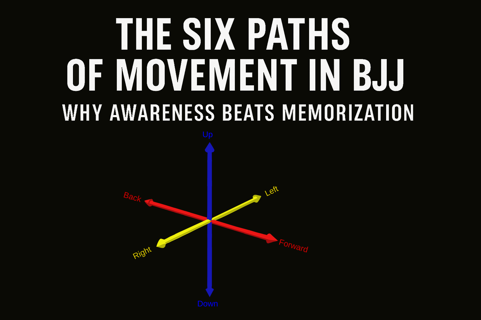 The Six Paths of Movement in BJJ